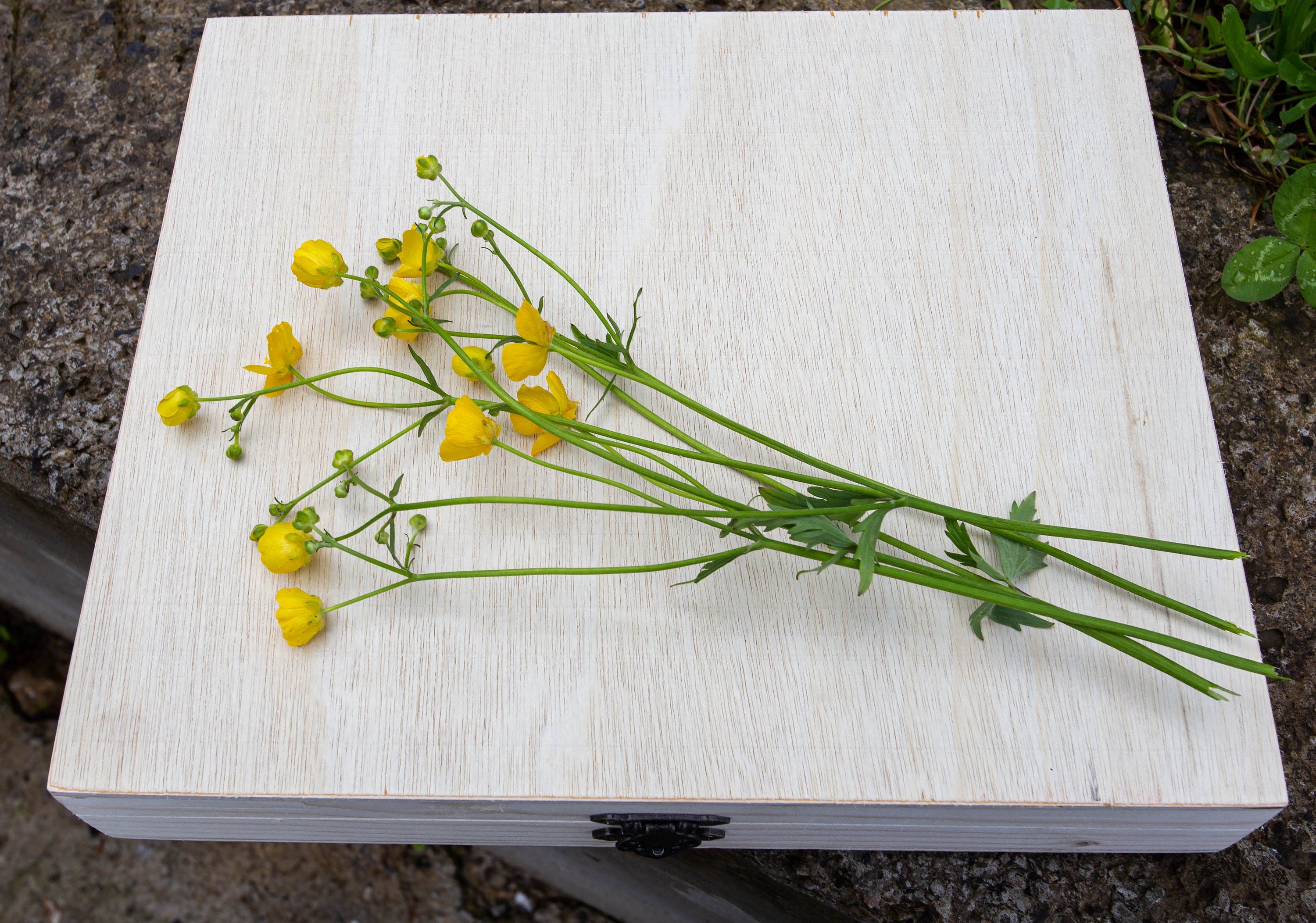 Unfinished Wood Box With Hinges box--decorative boX  41x36x4,5 cm
